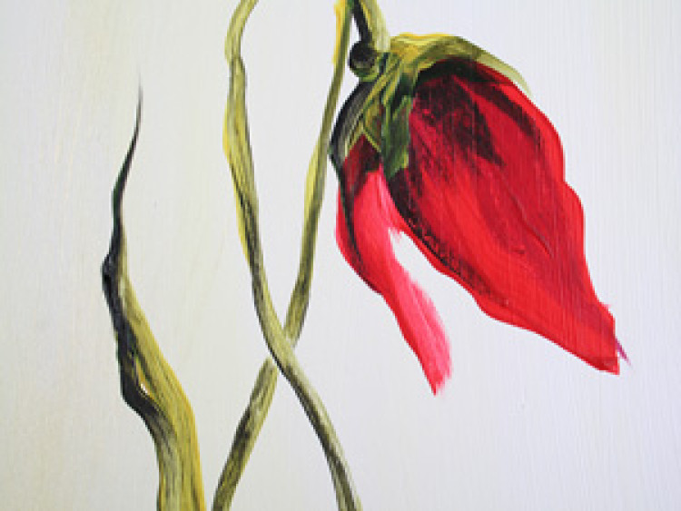 Pintura em tela Flores de papoila escarlate 48531 additionalImage 2