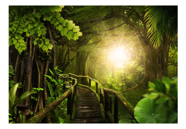 Fotomural Selva - paisagem verde com floresta tropical e ponte em direção ao sol 92631 additionalImage 1