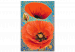 Desenho para pintar com números Red Poppies - Meadow Flowers on a Turquoise Decorative Background 144141 additionalThumb 5