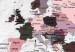 Placar de cortiça Pink Continents [Cork Map] 92251 additionalThumb 5