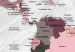 Placar de cortiça Pink Continents [Cork Map] 92251 additionalThumb 6