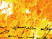 Quadro em tela Cor-de-laranja  48371 additionalThumb 3