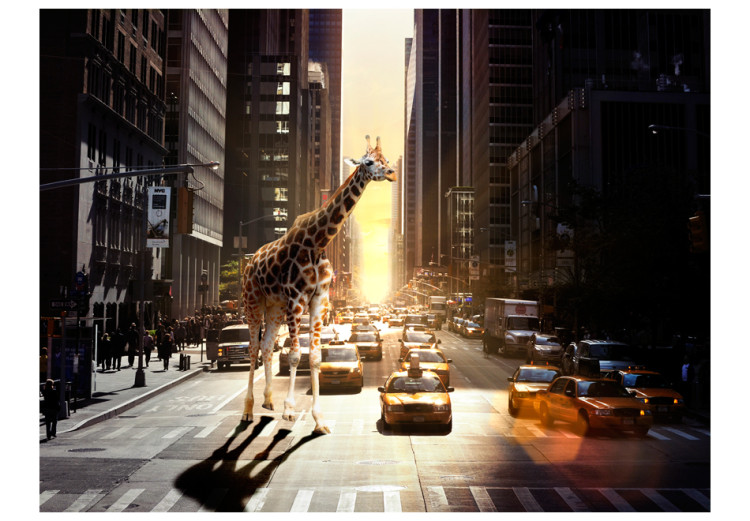 Mural de parede Nova Iorque - Tema de Animais com Girafa em Fundo de Arquitetura Urbana 61471 additionalImage 1