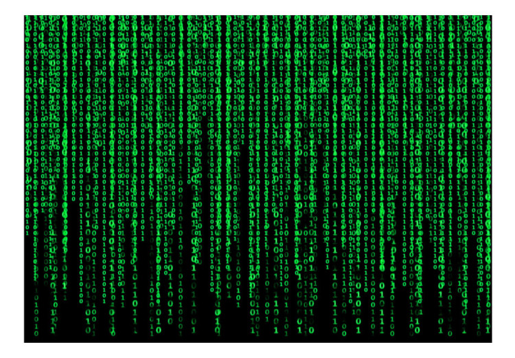 Mural de parede Chuva Digital - números binários em fundo preto em estilo Matrix 90181 additionalImage 1