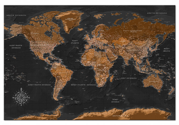 Placar de cortiça Brown World Map [Cork Map - Turkish Text] 105922 additionalImage 2