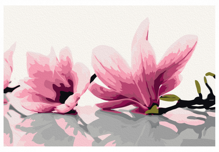 Desenho para pintar com números Magnolia (White Background) 107332 additionalImage 7
