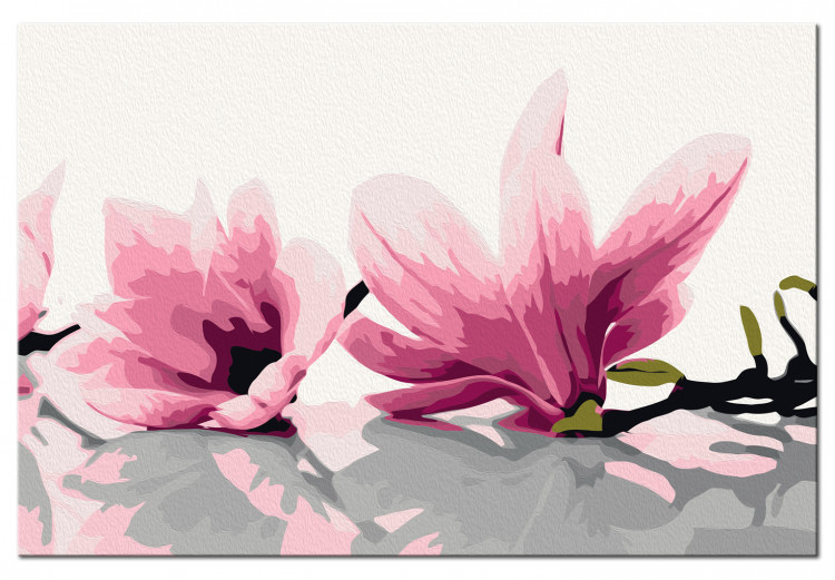 Desenho para pintar com números Magnolia (White Background) 107332 additionalImage 5