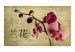 Mural de parede Japanese orchid 60232 additionalThumb 1
