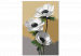 Desenho para pintar com números White Anemone 138662 additionalThumb 4