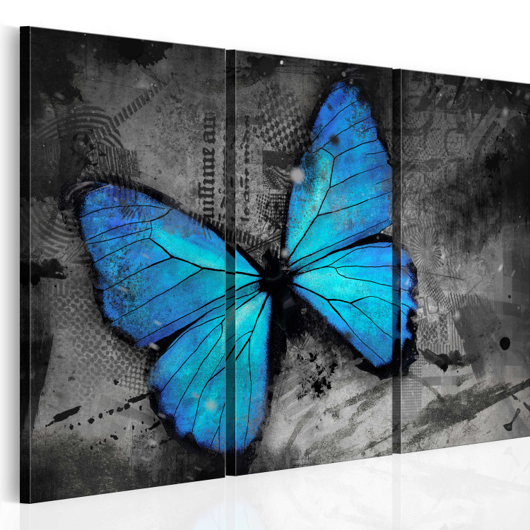 Quadro pintado The study of butterfly - triptych 50362 additionalImage 2