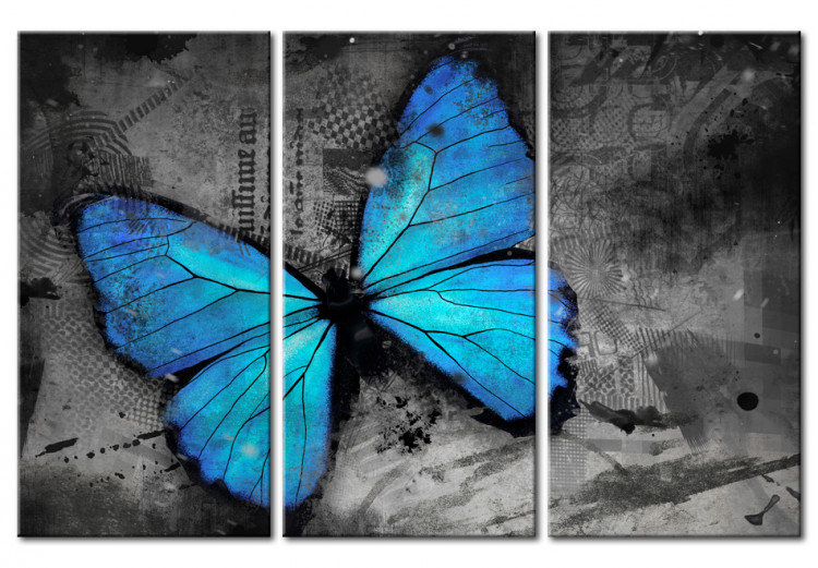 Quadro pintado The study of butterfly - triptych 50362