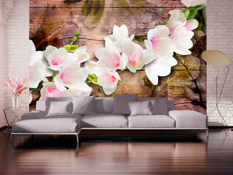 Mural Finesse da Natureza - Flores brancas de magnólia em uma velha madeira com reflexo 62272