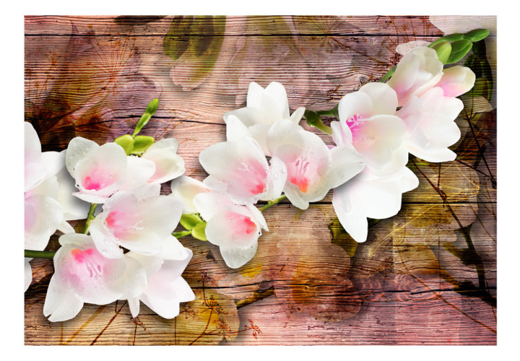 Mural Finesse da Natureza - Flores brancas de magnólia em uma velha madeira com reflexo 62272 additionalImage 1