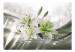 Mural Beleza dos Lírios - flores brancas em fundo verde com efeito de brilho de luz 93772 additionalThumb 1