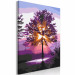 Desenho para pintar com números Magic Tree - Sun Rays and Bright Nature 144623 additionalThumb 7