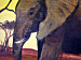 Pintura Elefantes africanos - animais com o sol poente sobre a savana 49454 additionalThumb 2