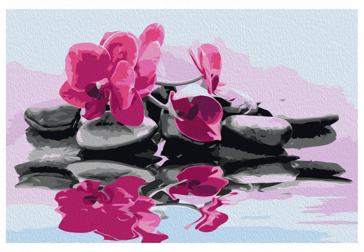 Desenho para pintar com números Orchid With Zen Stones (Reflection In The Water) 107164 additionalImage 7