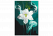 Desenho para pintar com números Flower in Turquoise 138664 additionalThumb 5
