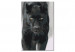 Desenho para pintar com números Black Panther 134884 additionalThumb 6