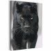 Desenho para pintar com números Black Panther 134884 additionalThumb 4