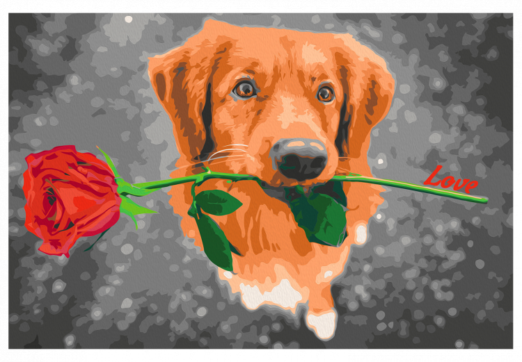 Desenho para pintar com números Dog With Rose  132315 additionalImage 7