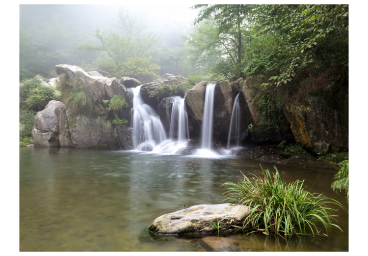 Fotomural Cachoeiras fluindo - paisagem de um lago na floresta com uma cachoeira rochosa 60015 additionalImage 1