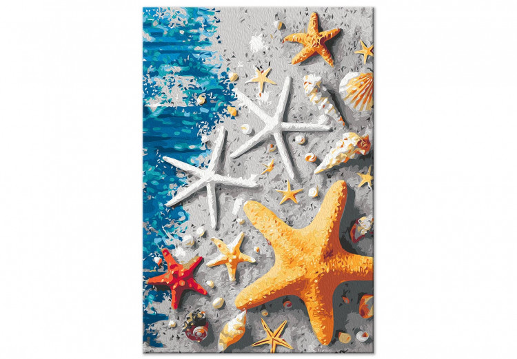 Desenho para pintar com números Sand and Seashells - Starfish and Sea Elements on Blue Boards 144525 additionalImage 5