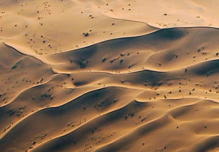 Quadro pintado Areias do deserto 50425 additionalImage 4