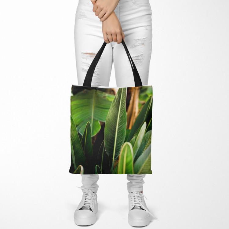 Saco Paradise Strelitzia - a composition with rich detail of exotic plants 148535 additionalImage 2