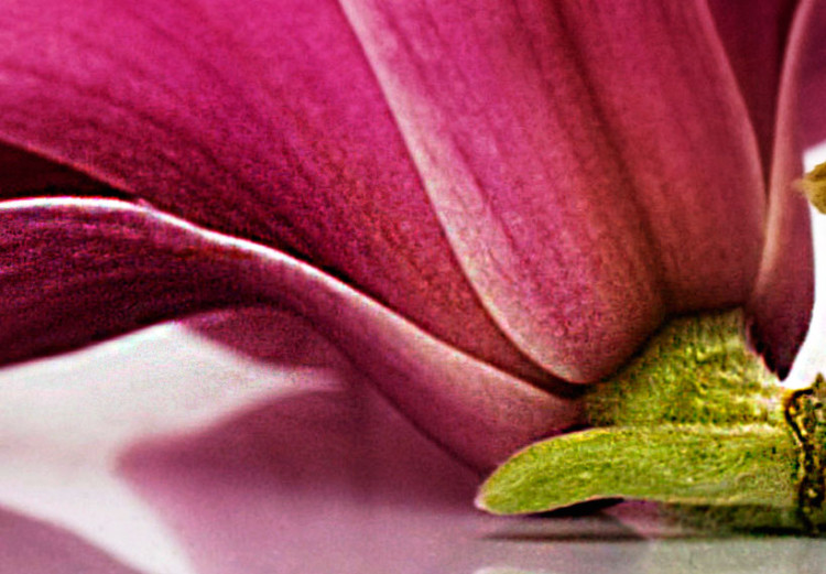 Pintura em tela Magnolias: pink flowers 50065 additionalImage 4