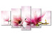 Pintura em tela Magnolias: pink flowers 50065