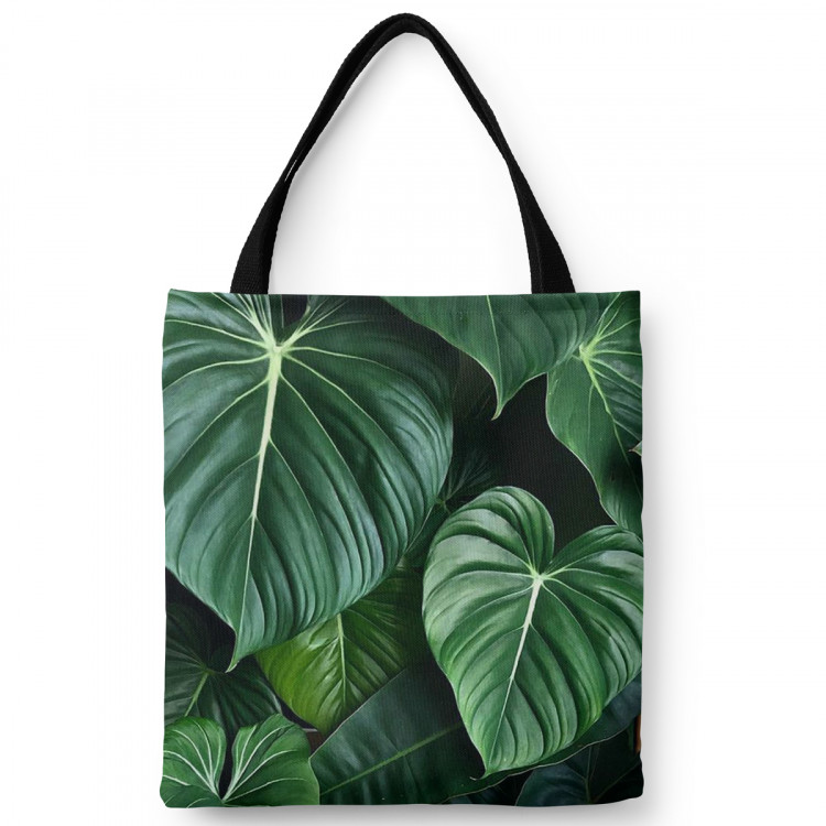 Saco Philodendron gloriosum - exotic plants with rich detailing 147536