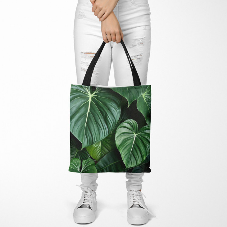 Saco Philodendron gloriosum - exotic plants with rich detailing 147536 additionalImage 2