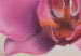 Quadro em tela Orquídeas cor-de-rosa 48636 additionalThumb 5