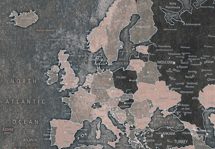 Placar de cortiça Grey World [Cork Map] 96036 additionalImage 5