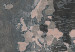 Placar de cortiça Grey World [Cork Map] 96036 additionalThumb 5