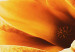Pintura Amber magnolias 50066 additionalThumb 5