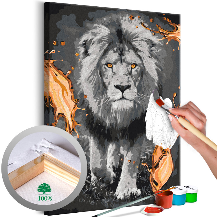 Desenho para pintar com números Lion & Silk 142576