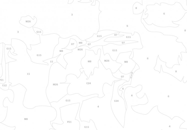 Desenho para pintar com números World Map (Compass Rose) 107486 additionalImage 5