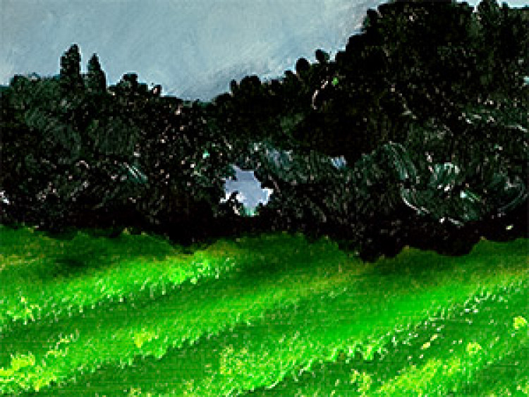 Pintura Idílio rural - paisagem de campos verdes sobre o fundo do céu azul 49737 additionalImage 3