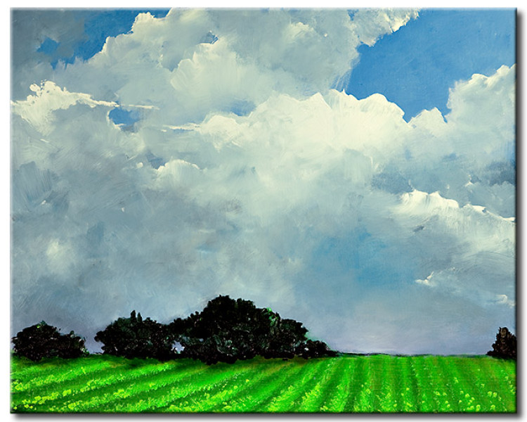 Pintura Idílio rural - paisagem de campos verdes sobre o fundo do céu azul 49737