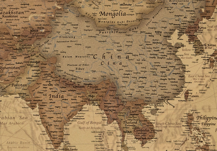 Placar de cortiça Stylish World Map [Cork Map] 95947 additionalImage 5