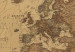 Placar de cortiça Stylish World Map [Cork Map] 95947 additionalThumb 6
