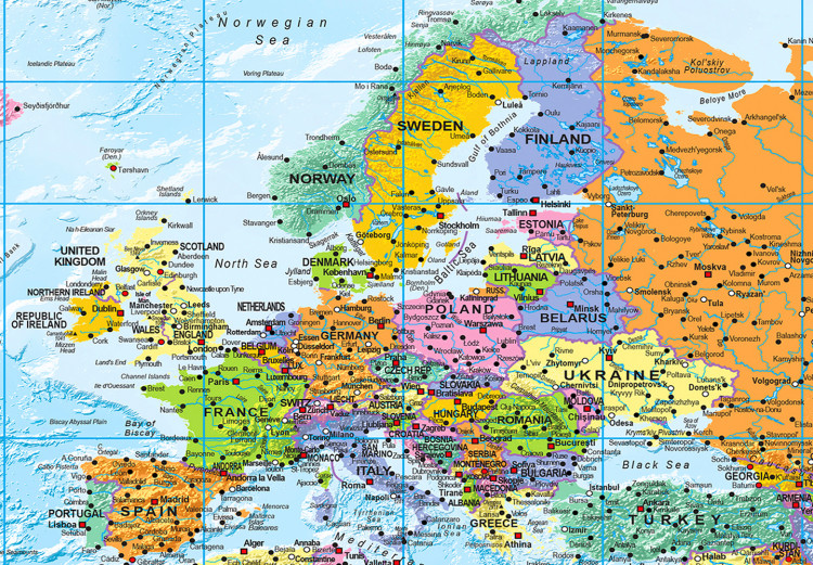 Placar decorativo World: Colourful Map II [Cork Map] 98057 additionalImage 6