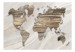 Fotomural Mapa de Mármore - contorno dos continentes com textura de madeira em fundo branco 93767 additionalThumb 1