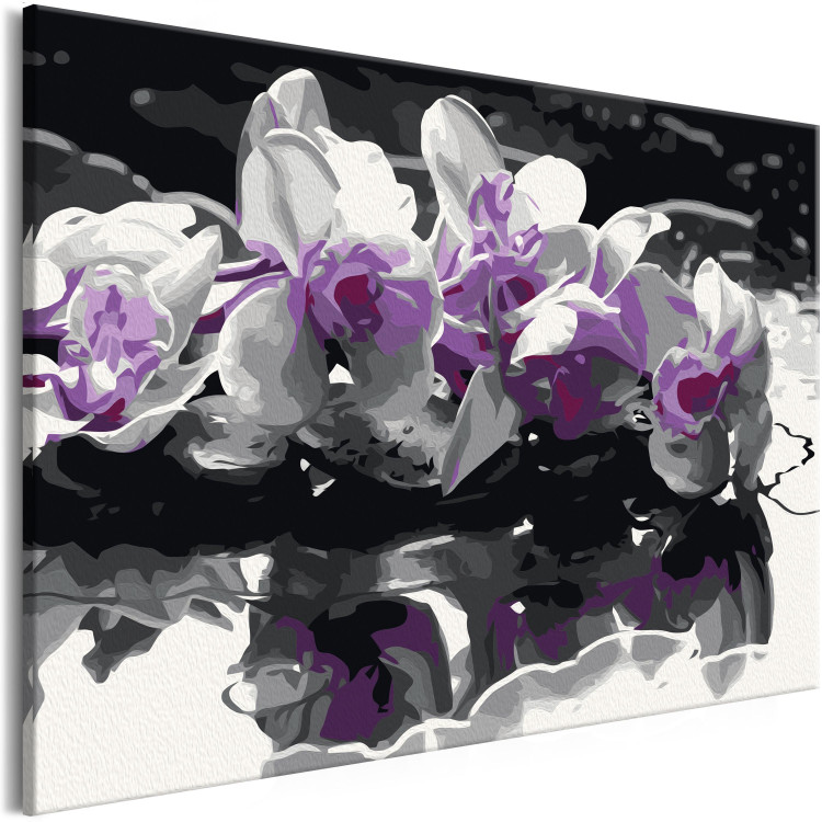 Desenho para pintar com números Purple Orchid (Black Background & Reflection In The Water) 107508 additionalImage 5