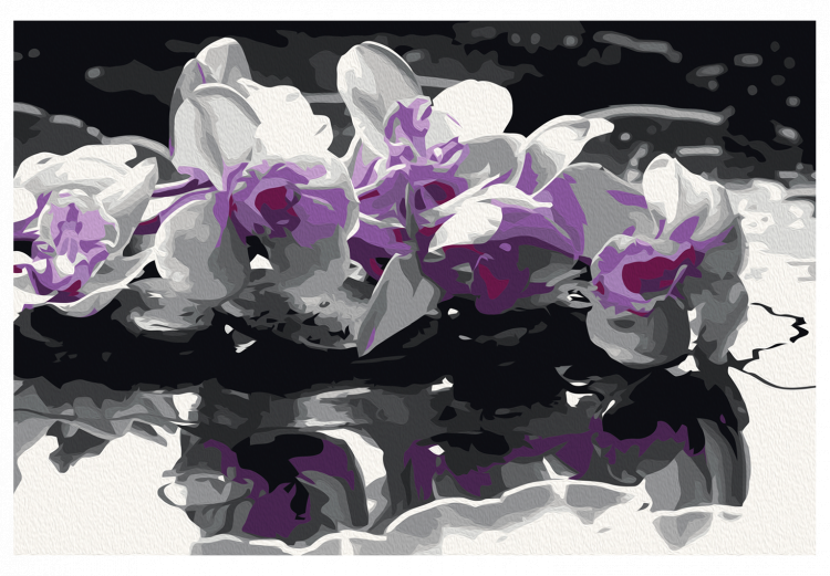 Desenho para pintar com números Purple Orchid (Black Background & Reflection In The Water) 107508 additionalImage 7