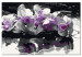 Desenho para pintar com números Purple Orchid (Black Background & Reflection In The Water) 107508 additionalThumb 6
