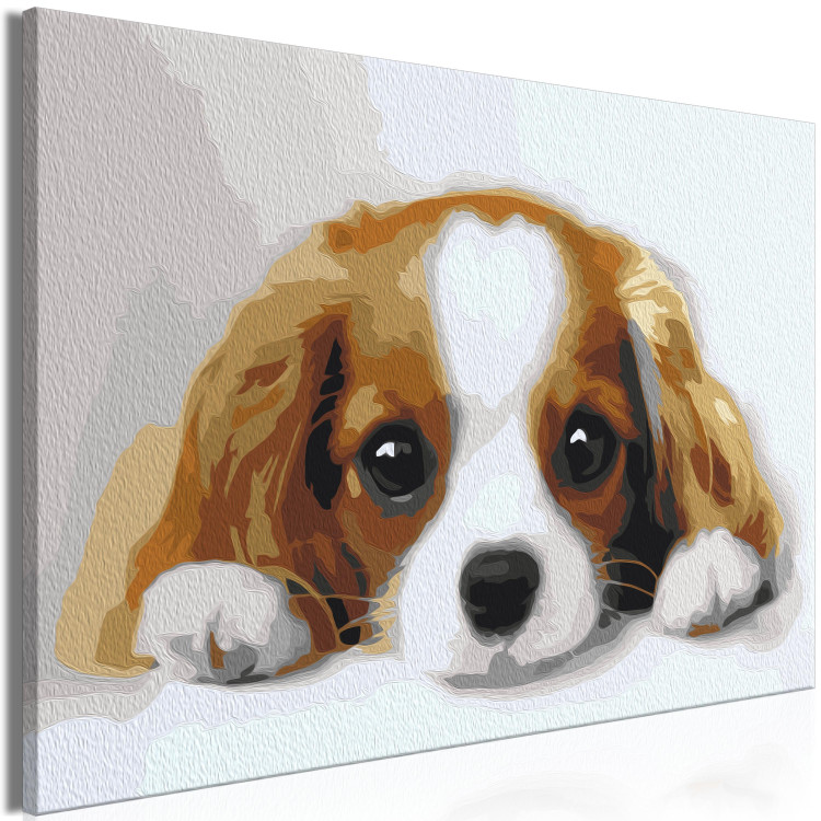 Desenho para pintar com números Sweet Puppy 142408 additionalImage 7