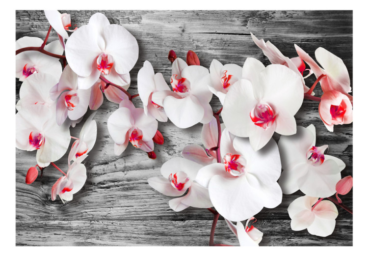 Mural Callous orchids 60308 additionalImage 1